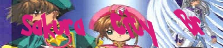 Banner02SCBr