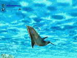 ecco_anima1.GIF (25001 bytes)