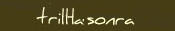 Trilha Sonora