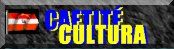 Stio sobre a cultura e histria de Caetit