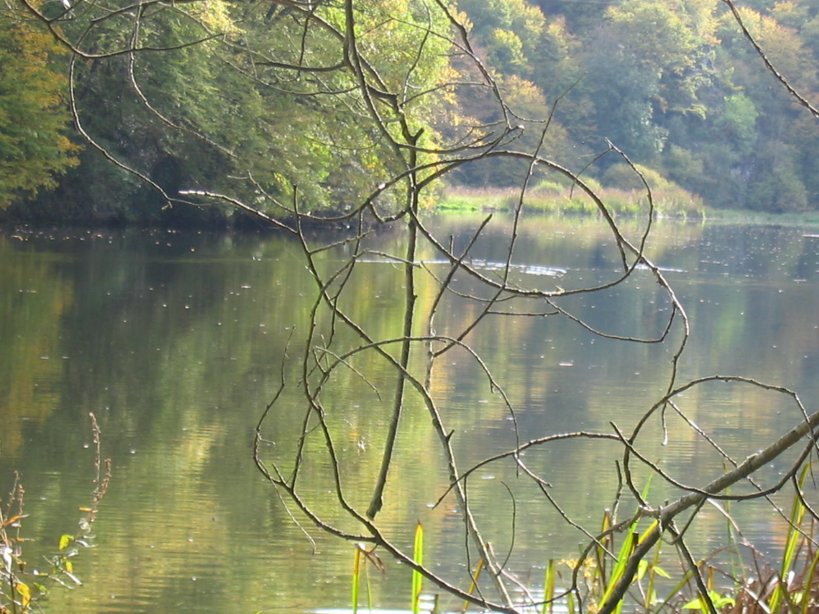 An der Nahe