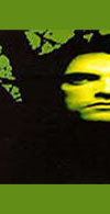 Type O Negative