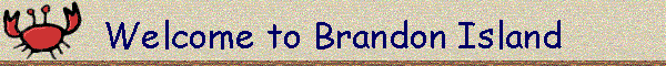 Welcome to Brandon Island