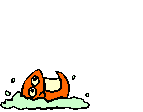 The fish are our friends...aren't they SWEET?!?!?