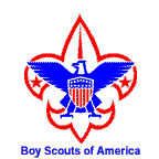 BSA Logo