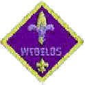 Webelos Rank Patch
