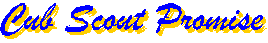 "Cub Scout Promise"