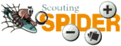 Scouting Spider Logo