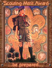 Scout Merit Award