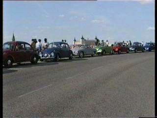 Escarabajos con Alcazar al fondo