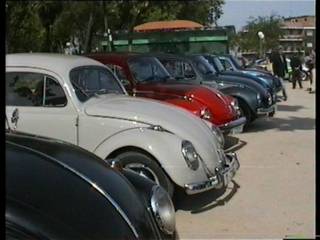 expo vw beetle