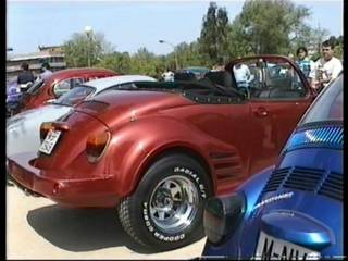 volks radical Mackoy beetle