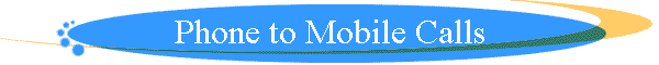 Phone to Mobile Calls