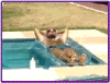 floatie.gif (16160 bytes)
