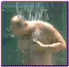 shower.gif (15581 bytes)