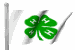 4h flag