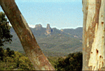 The Breadknife in the Warrummbungles