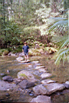 Carnarvon Creek in the Carnarvon Gorge