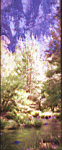 Carnarvon Gorge, sunlight playing tricks with the colours