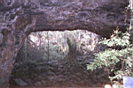Huge Lava Tubes at Undara.They are big enough to drive a house thru, and extend for 150km. A lot of roof collapses
