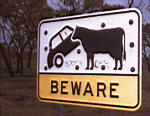 More funny signage, Some wag has Written Stock Car
