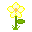 Yellow Flower