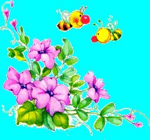 Thanks to Donna for this image
