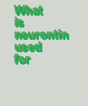 neurontin