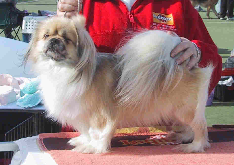 Floyd Sept 2003