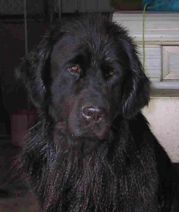 Maggie