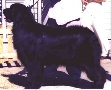 Maggie