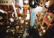 shrine 10 d