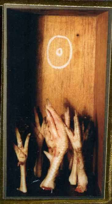 shrine8i