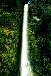 CASCADA_DE_LA_CHINA