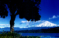 LAGO_Y_VOLCAN_VILLARRICA