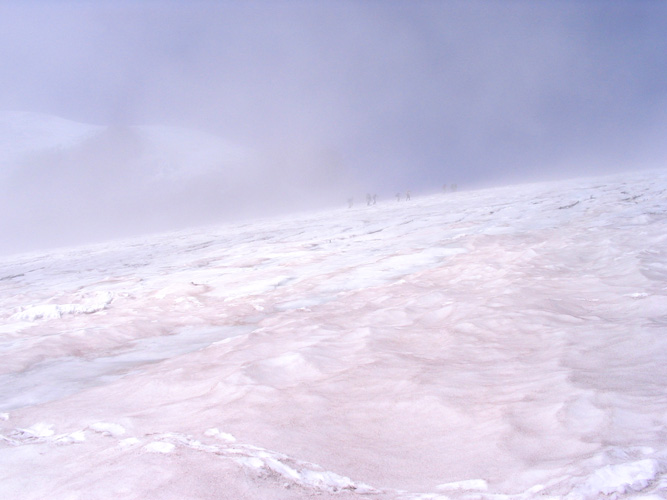 middle muir snowfield