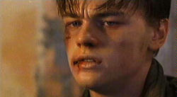 Basketball Diaries 5