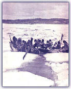 Nanook 1