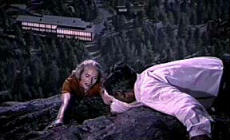 North By Northwest 7