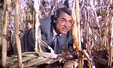 North By Northwest 10