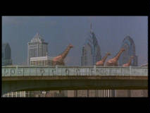 Twelve Monkeys 2
