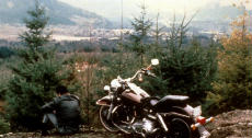 Twin Peaks 19