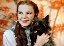 Wizard of Oz 12