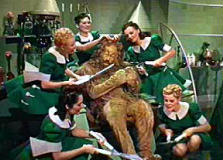 Wizard of Oz 14