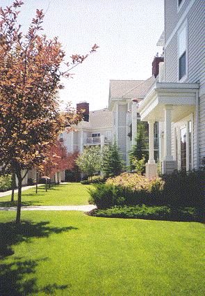 lawn2