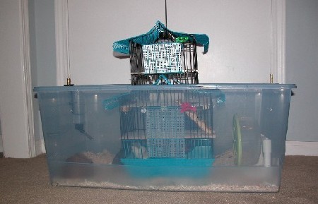 Cage inside a cage