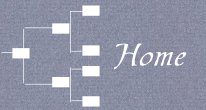 Return to homepage