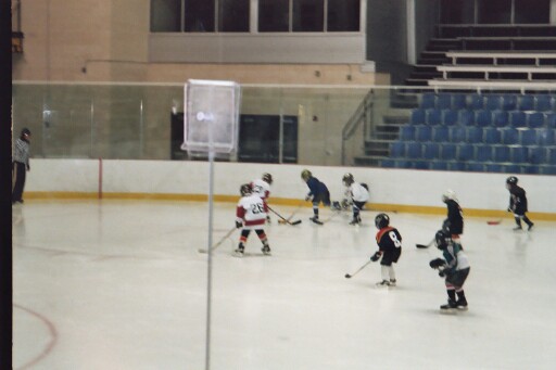 amateur  hockey