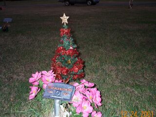 The Christmas tree with lights we put
on Dillions grave.
