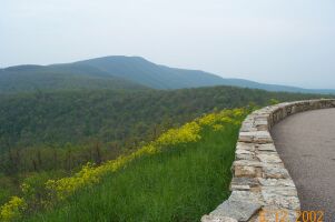 Sights along Skyline Drive